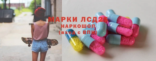 ГАЛЛЮЦИНОГЕННЫЕ ГРИБЫ Горняк