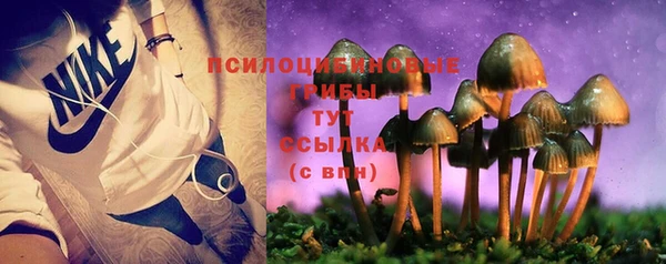 хмурый Горно-Алтайск