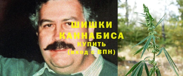спиды Горнозаводск