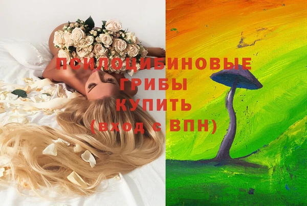 ГАЛЛЮЦИНОГЕННЫЕ ГРИБЫ Горняк